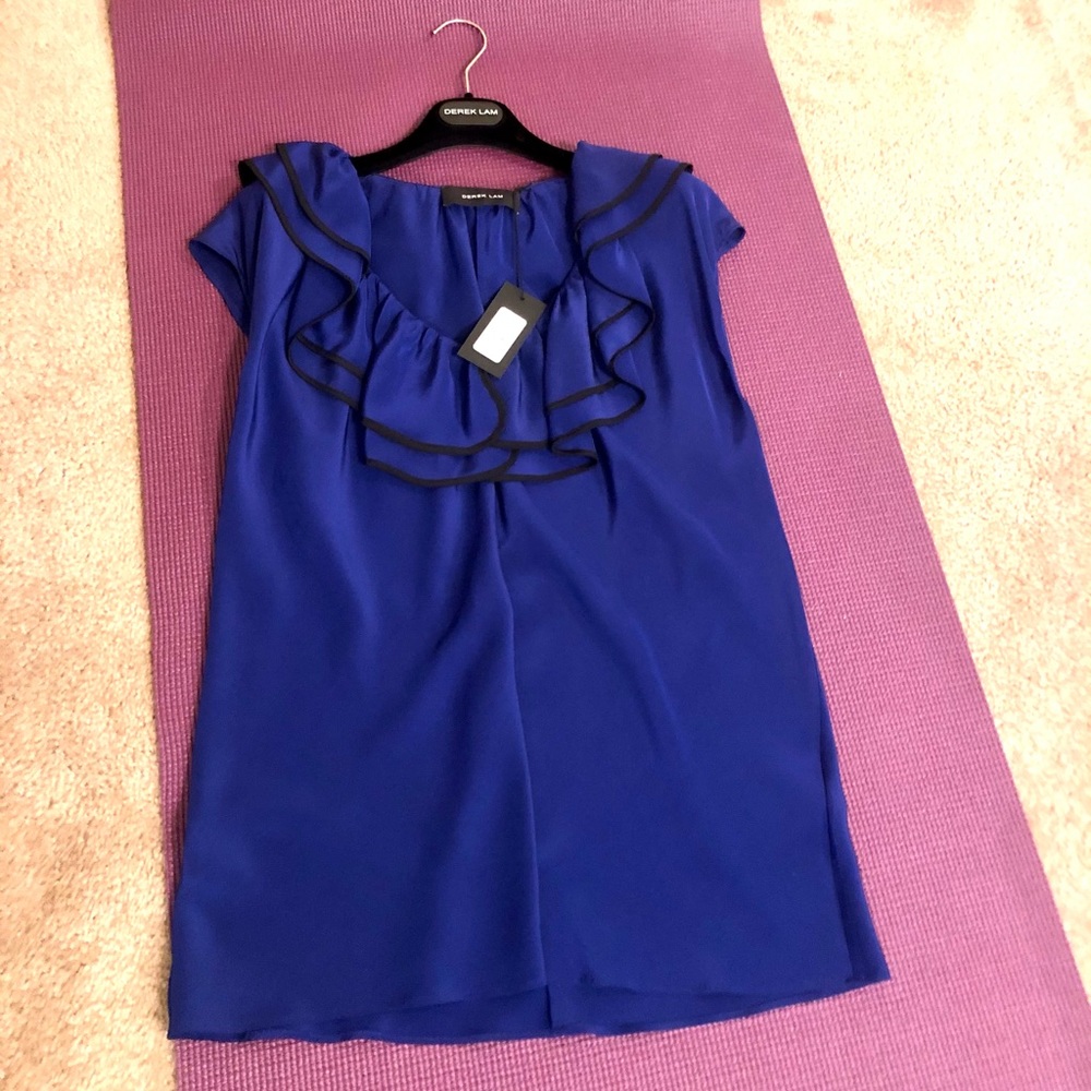 Derek Lam Top size 46/12